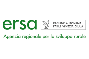 Ersa FVG