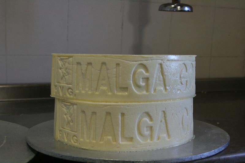 1  Formaggio di malga.jpg