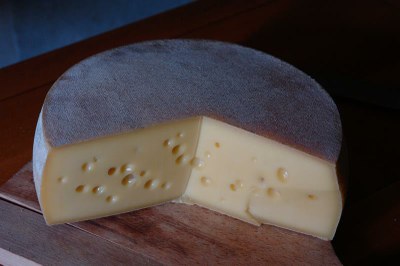 19) Formaggio di malga.JPG