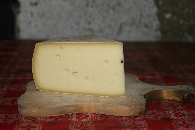 Formaggio di malga.jpg