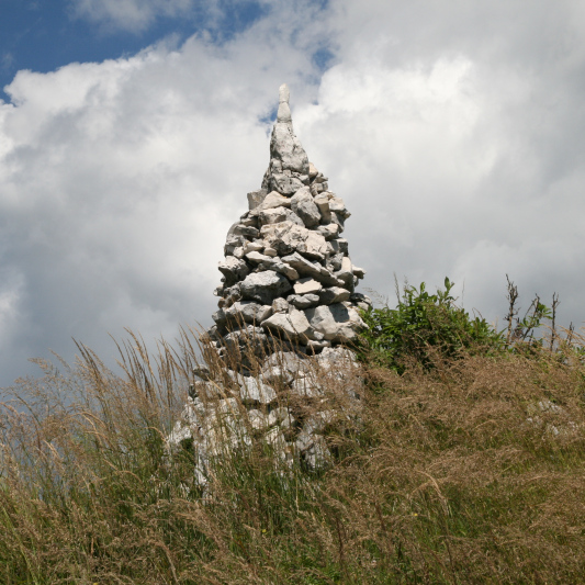 Difesa dell’ambiente